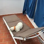 Casa vacanze Stadthaus Petronella Meerblick Und Dachterrasse