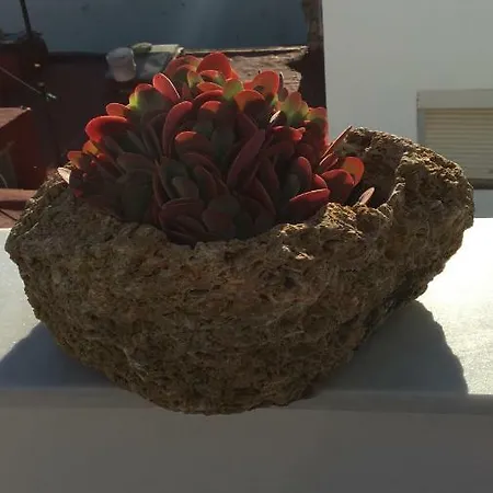 Stadthaus Petronella Meerblick Und Dachterrasse Conil De La Frontera