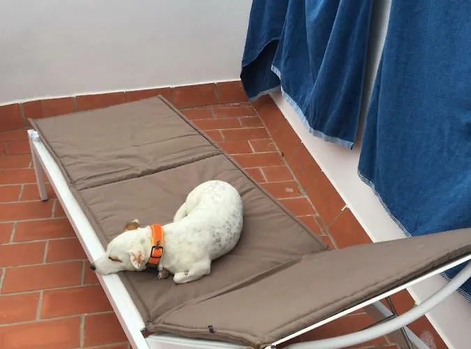 Prázdninový dům Stadthaus Petronella Meerblick Und Dachterrasse