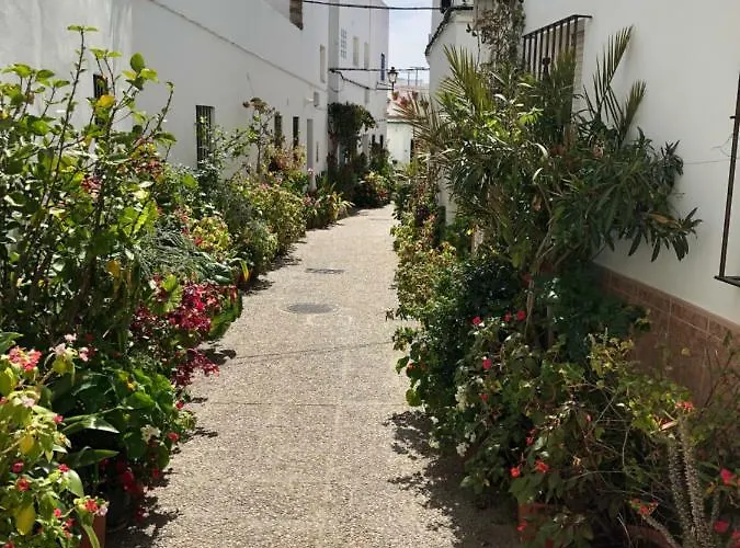 بيت للعطل Stadthaus Petronella Meerblick Und Dachterrasse *