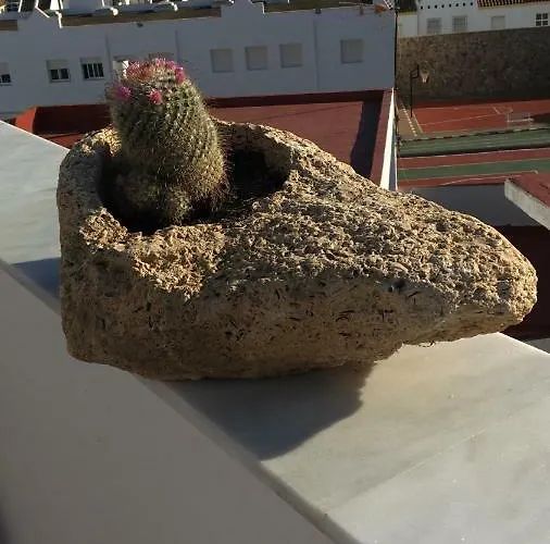 Prázdninový dům Stadthaus Petronella Meerblick Und Dachterrasse
