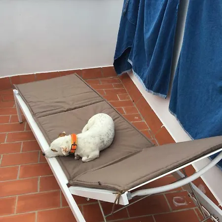 Feriehus Stadthaus Petronella Meerblick Und Dachterrasse