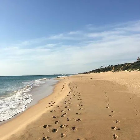 Feriehus Stadthaus Petronella Meerblick Und Dachterrasse *