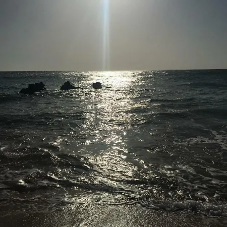 Feriehus Stadthaus Petronella Meerblick Und Dachterrasse *