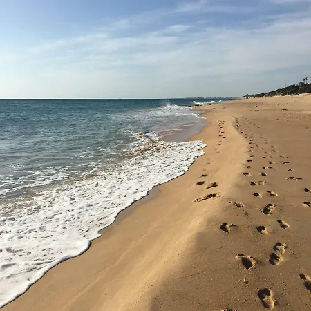 Stadthaus Petronella Meerblick Und Dachterrasse * Conil De La Frontera