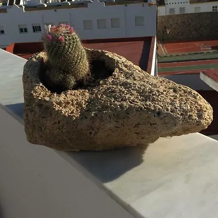 Feriehus Stadthaus Petronella Meerblick Und Dachterrasse