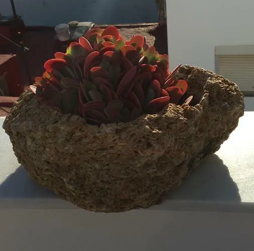 Stadthaus Petronella Meerblick Und Dachterrasse Кониль-де-ла-Фронтера